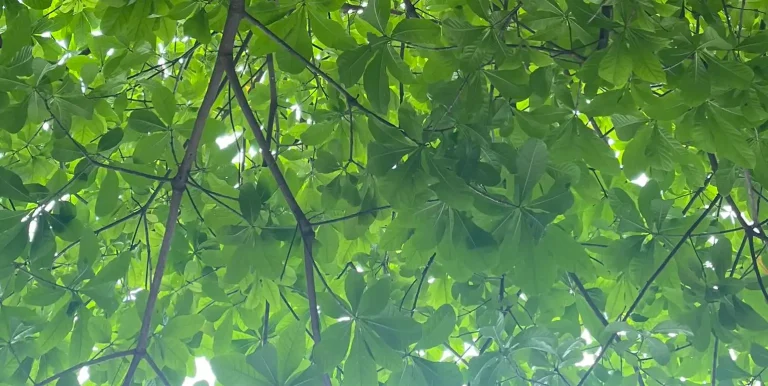 Chỉ cần ba mẹ ngồi nghe con
