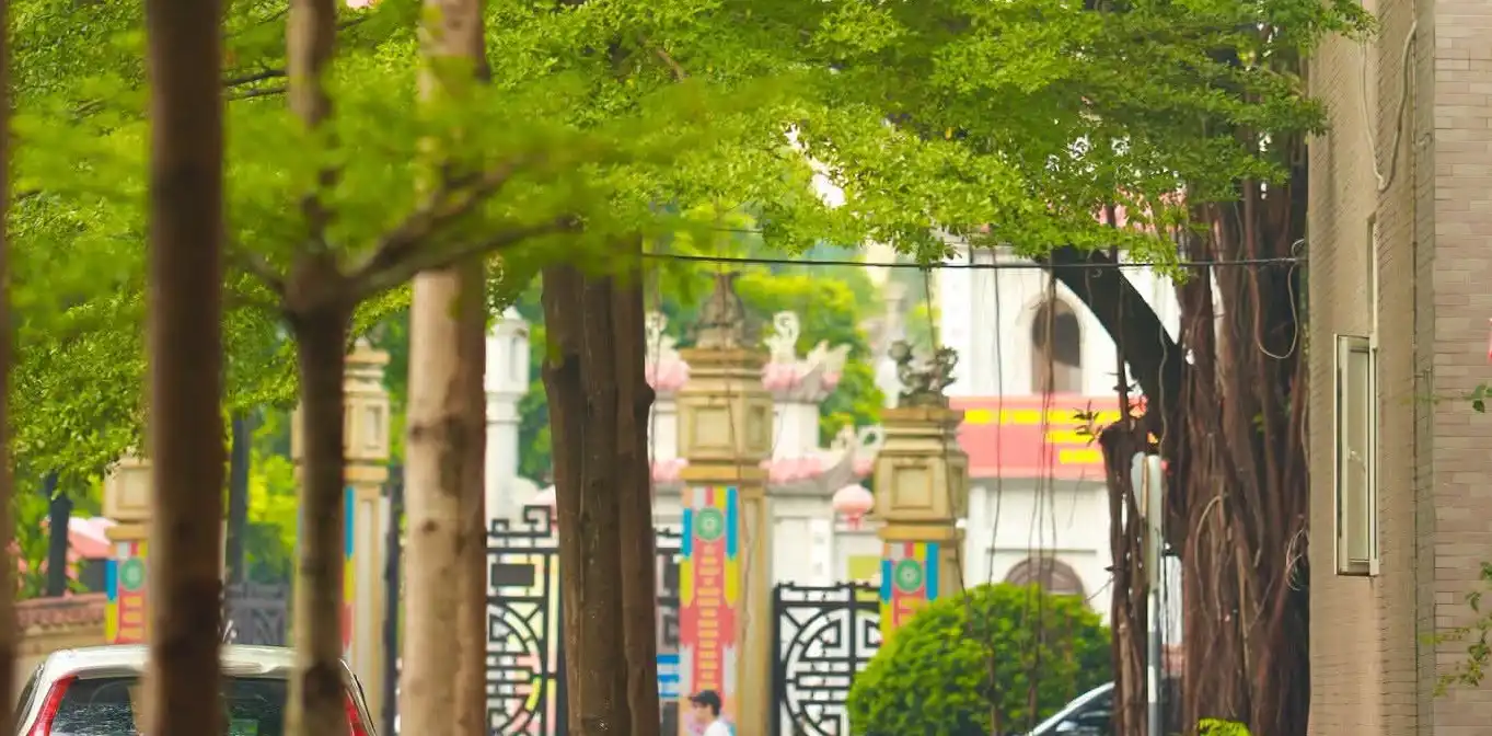 Đi tiếp trong nắng sớm