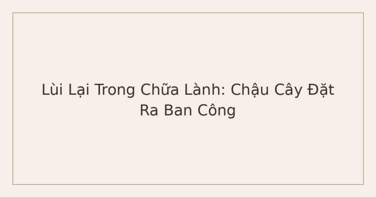 lùi lại trong chữa lành - chậu cây đặt ra ban công