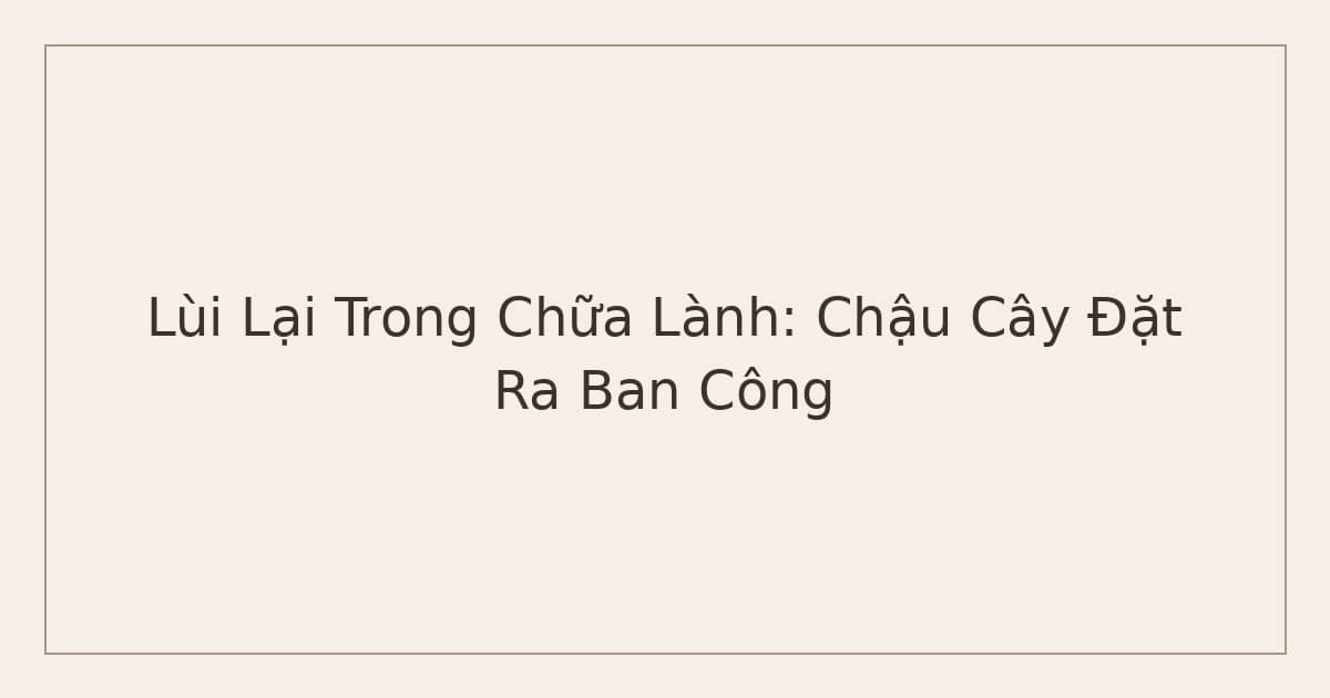 lùi lại trong chữa lành - chậu cây đặt ra ban công