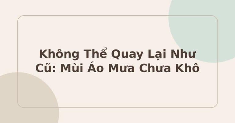 Không thể quay lại như cũ - mùi áo mưa chưa khô