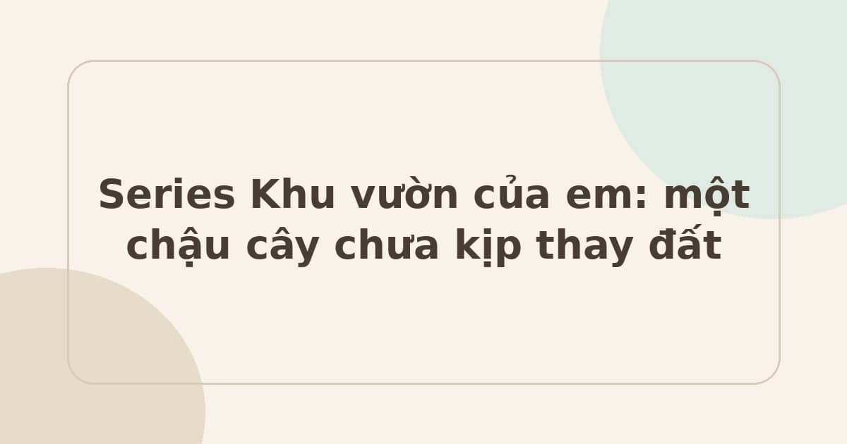 Series Khu vườn của em: một chậu cây chưa kịp thay đất