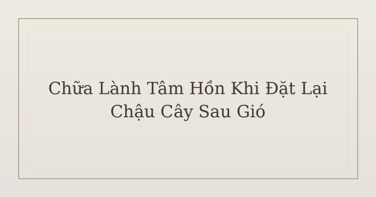 chữa lành tâm hồn khi đặt lại chậu cây sau gió - Chữa Lành Tâm Hồn Khi Đặt Lại Chậu Cây Sau Gió