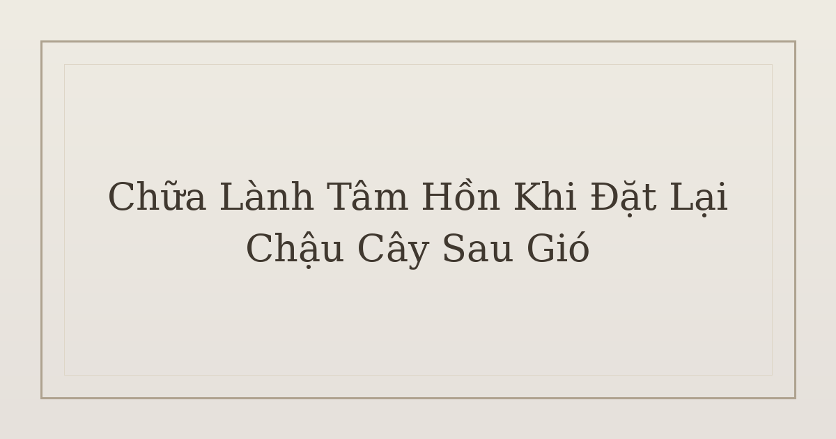 chữa lành tâm hồn khi đặt lại chậu cây sau gió - Chữa Lành Tâm Hồn Khi Đặt Lại Chậu Cây Sau Gió