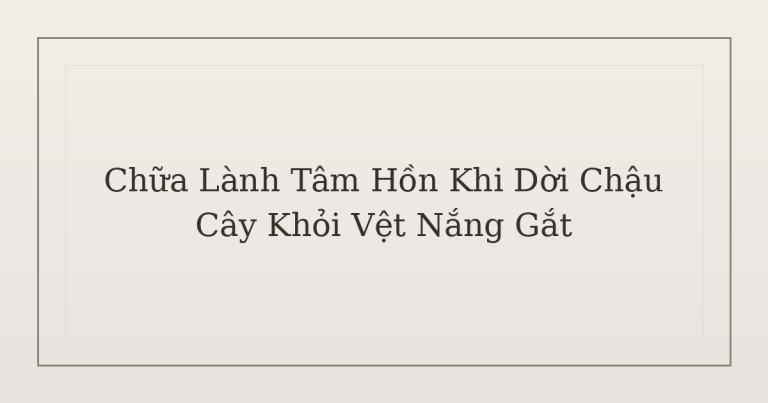 chữa lành tâm hồn khi dời chậu cây - Chữa Lành Tâm Hồn Khi Dời Chậu Cây Khỏi Vệt Nắng Gắt