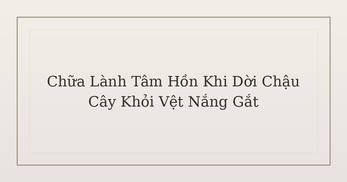 chữa lành tâm hồn khi dời chậu cây - Chữa Lành Tâm Hồn Khi Dời Chậu Cây Khỏi Vệt Nắng Gắt