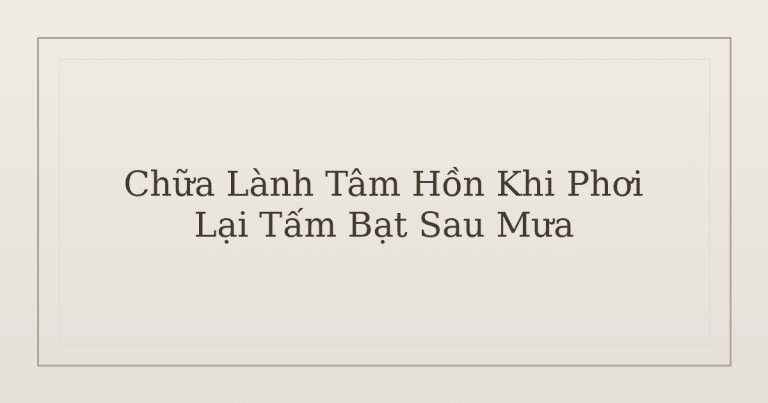 chữa lành tâm hồn khi phơi lại tấm bạt sau mưa - Chữa Lành Tâm Hồn Khi Phơi Lại Tấm Bạt Sau Mưa