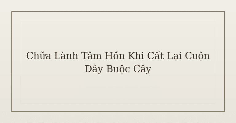 chữa lành tâm hồn khi cất dây buộc cây - Chữa Lành Tâm Hồn Khi Cất Lại Cuộn Dây Buộc Cây