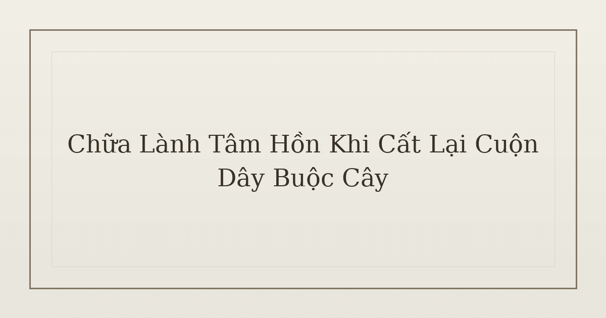 chữa lành tâm hồn khi cất dây buộc cây - Chữa Lành Tâm Hồn Khi Cất Lại Cuộn Dây Buộc Cây