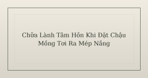 chữa lành tâm hồn - Chữa Lành Tâm Hồn Khi Đặt Chậu Mồng Tơi Ra Mép Nắng