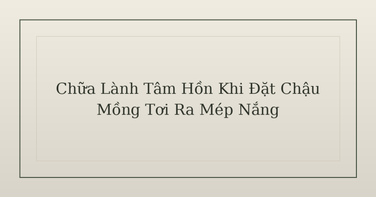 chữa lành tâm hồn - Chữa Lành Tâm Hồn Khi Đặt Chậu Mồng Tơi Ra Mép Nắng