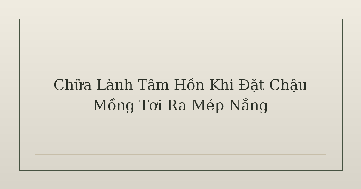 chữa lành tâm hồn - Chữa Lành Tâm Hồn Khi Đặt Chậu Mồng Tơi Ra Mép Nắng