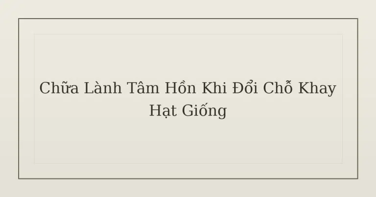 chữa lành tâm hồn khi đổi chỗ khay hạt giống - Chữa Lành Tâm Hồn Khi Đổi Chỗ Khay Hạt Giống