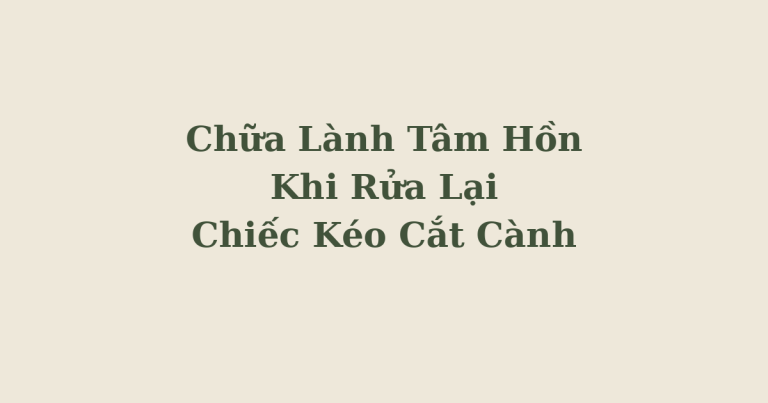 chữa lành tâm hồn khi rửa kéo cắt cành - Chữa Lành Tâm Hồn Khi Rửa Lại Chiếc Kéo Cắt Cành