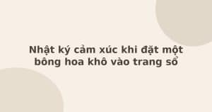 nhật ký cảm xúc khi đặt bông hoa khô