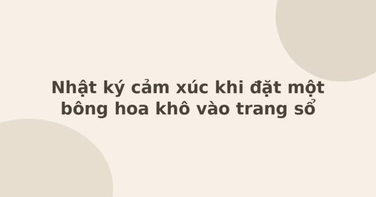 Nhật ký cảm xúc khi đặt một bông hoa khô vào trang sổ