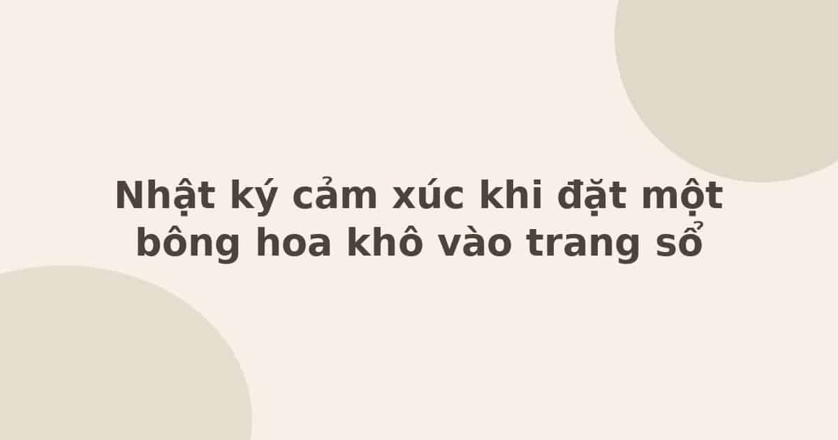 nhật ký cảm xúc khi đặt bông hoa khô