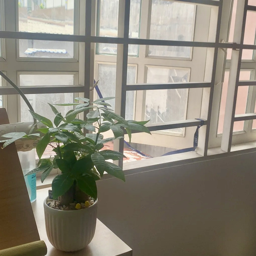 Từ chối làm 'nô lệ' của căn hộ tiền tỷ: Người trẻ chọn kiếp ở thuê sang chảnh, thà trả tiền phòng còn hơn còng lưng gánh nợ