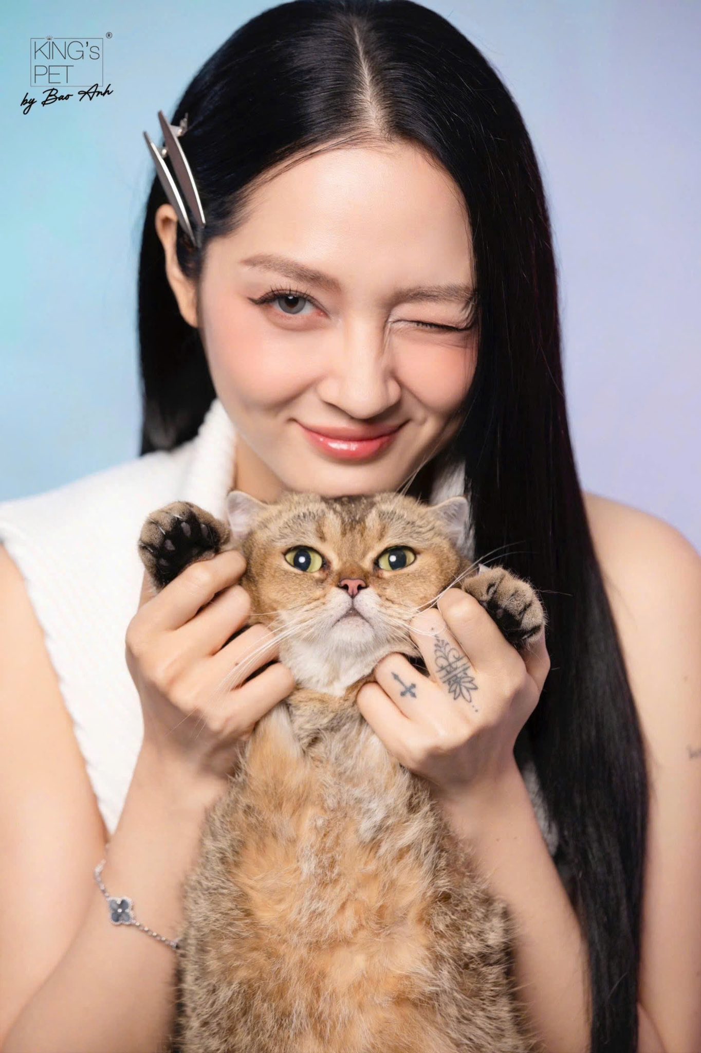 Bảo Anh: Từ loạt hit ballad đến vai trò mẹ đơn thân và đồng sáng lập thương hiệu thức ăn thú cưng