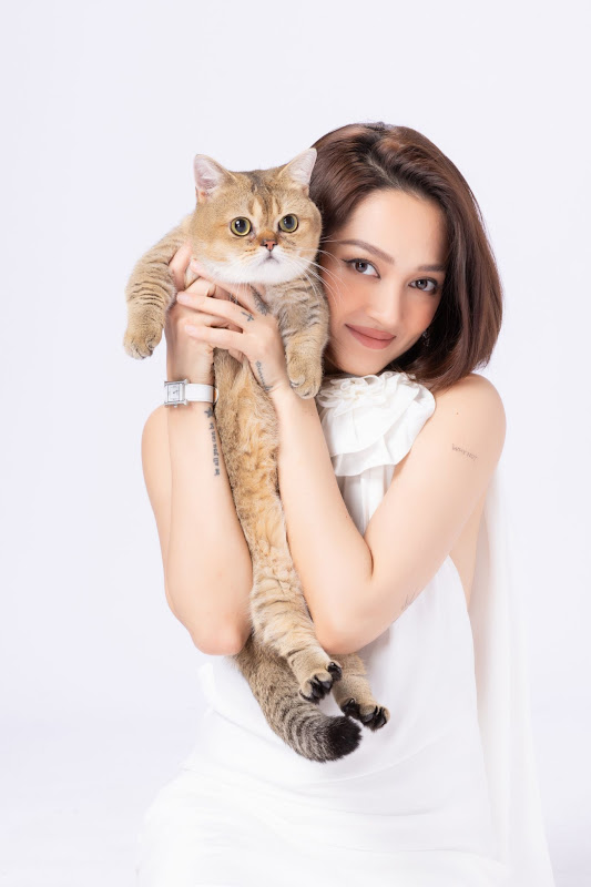 Bảo Anh: Từ loạt hit ballad đến vai trò mẹ đơn thân và đồng sáng lập thương hiệu thức ăn thú cưng
