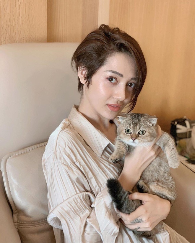 Bảo Anh: Từ loạt hit ballad đến vai trò mẹ đơn thân và đồng sáng lập thương hiệu thức ăn thú cưng