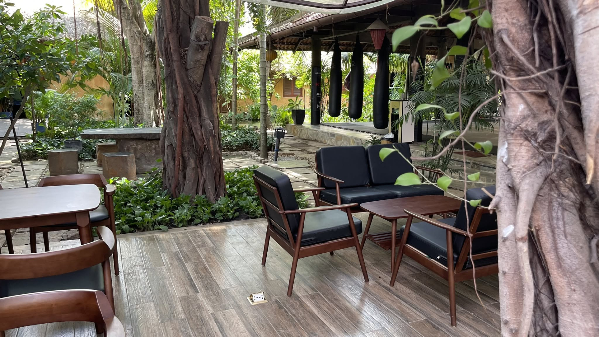 Johnny Trí Nguyễn: Từ ngôi sao phim hành động đến chủ nhân võ đường 1.800 m2 tại TP.HCM