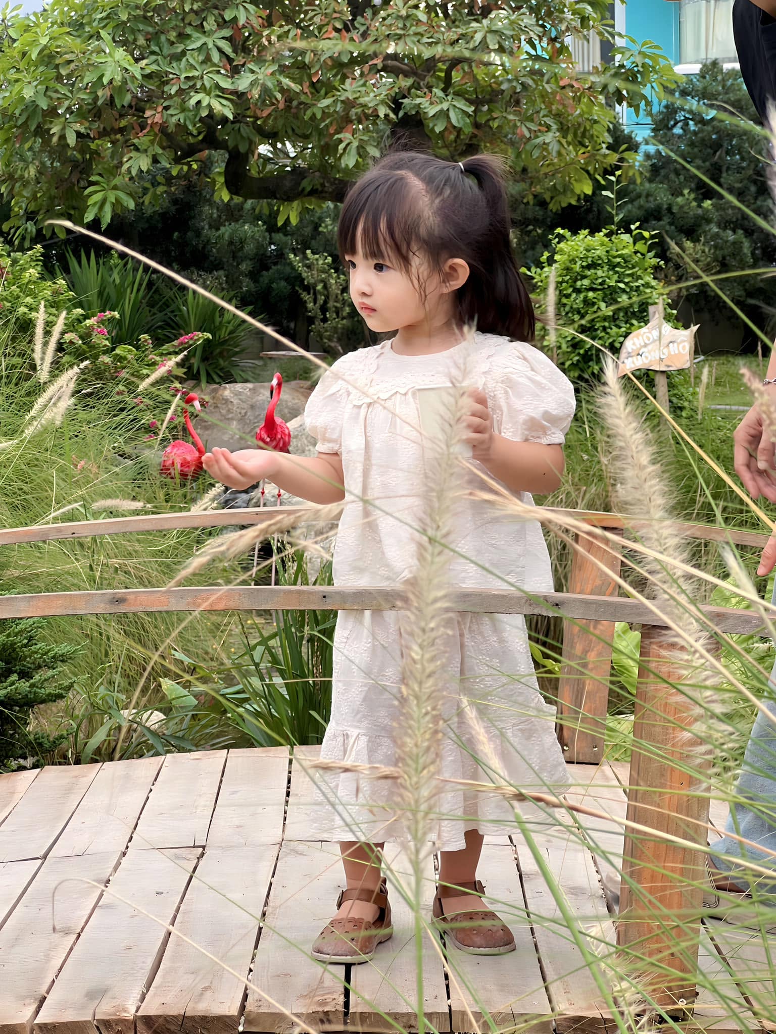 Con gái Đông Nhi - Ông Cao Thắng: Từ bức ảnh triệu lượt thích đến vẻ ngoài được ví như Chương Nhược Nam nhí